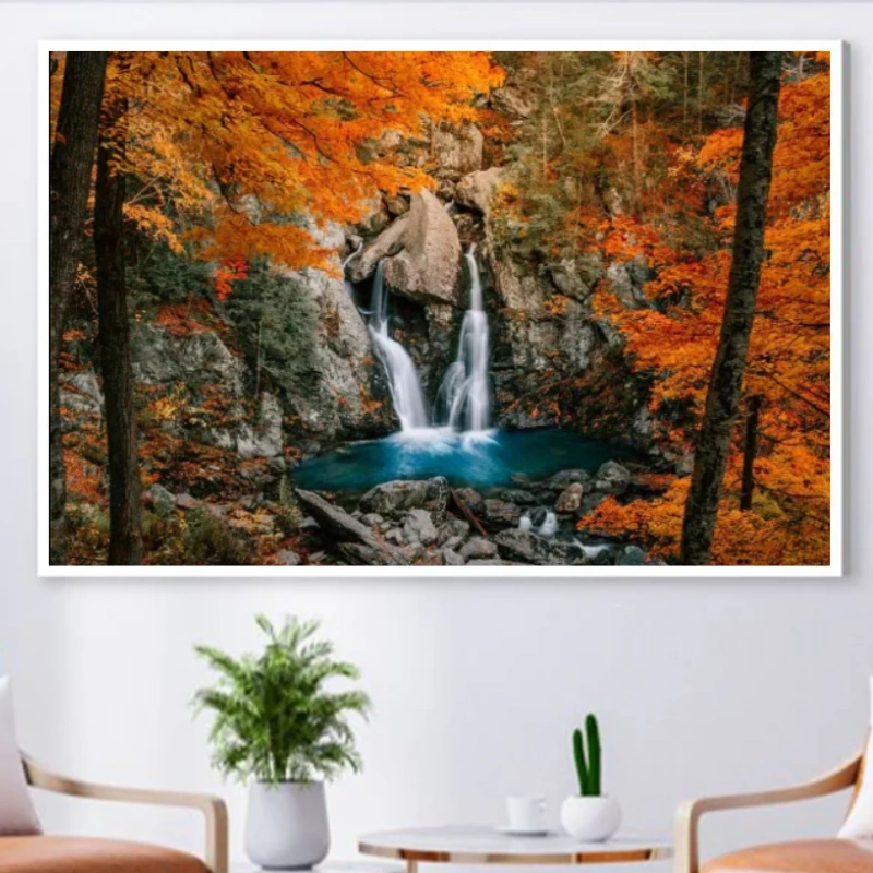 Beauté d’automne dans la forêt 2 Beauté d’automne dans la forêt-