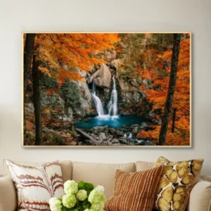 Beauté d’automne dans la forêt