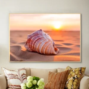 Coquillage au lever du soleil